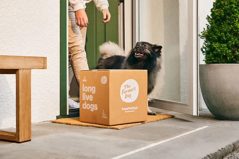 Viral-Ready Unboxing Pet Abonnement bølgepappesker